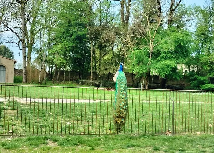 De L'abbe 8 A 10 Personnes Σπίτι διακοπών *